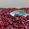 Venta al por mayor Red Dark Kidney Bean con HPS Size 180-220 piezas por 100g